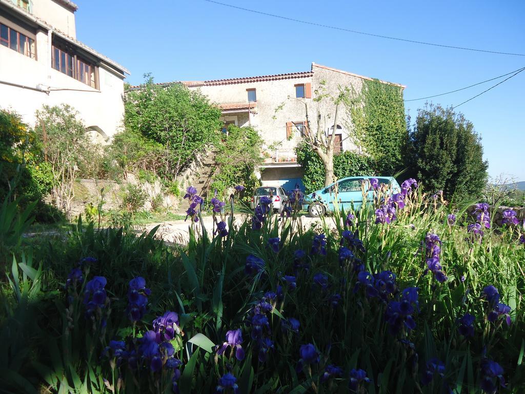 Bed and Breakfast La Colline Bleue à Banne Extérieur photo